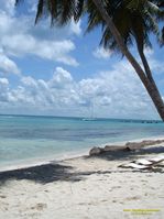 saona